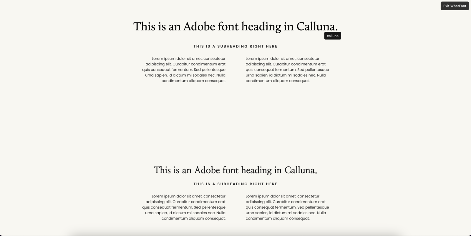 How To Easily Add a Custom Font to Your Showit site